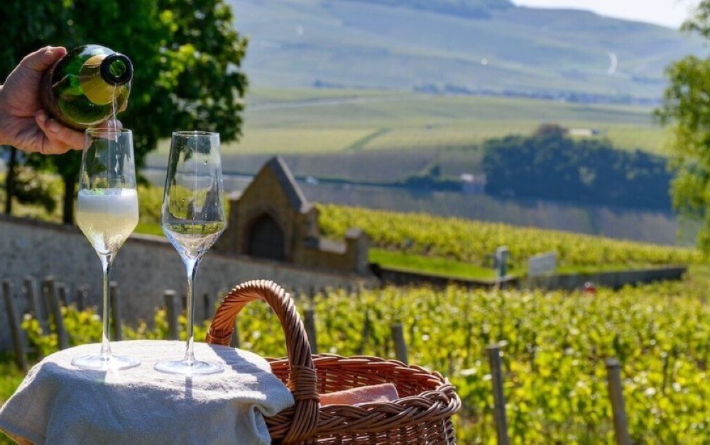 Champagne Experience