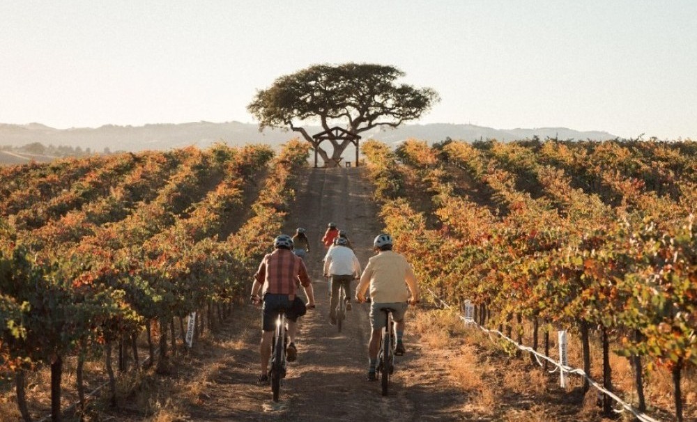 E-bike Wine Tour
